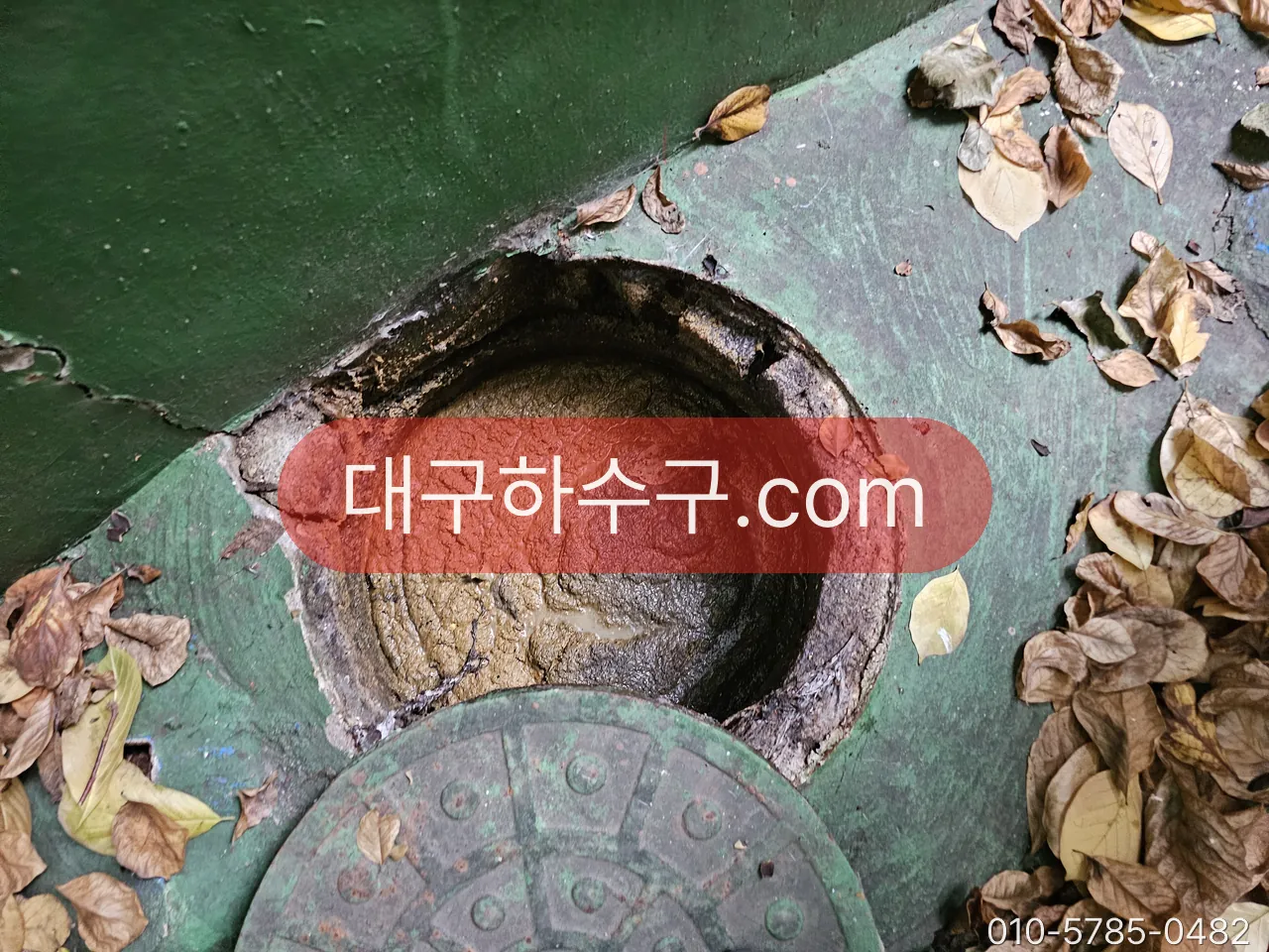 낙엽이 쌓인 옥상 배수구(루프드레인) 입구